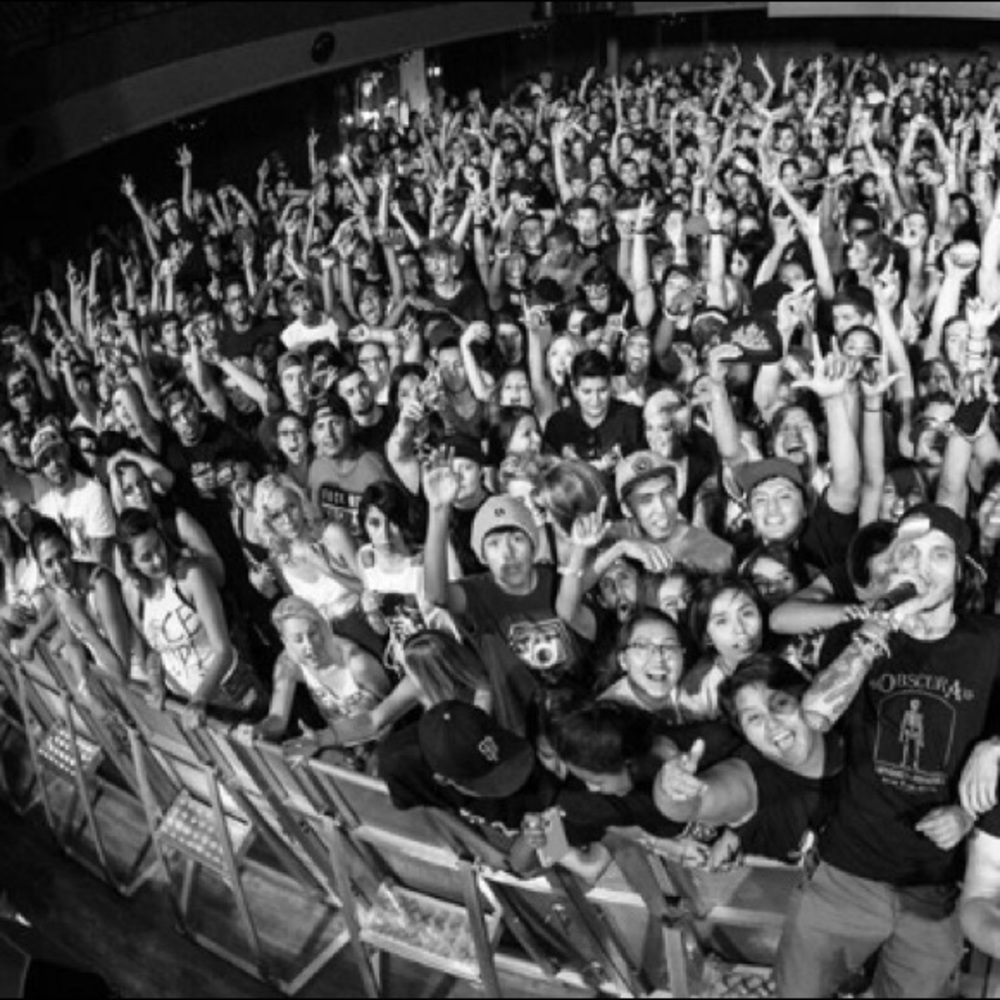 Meet your Posher, Roxy